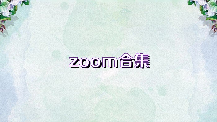 zoom合集