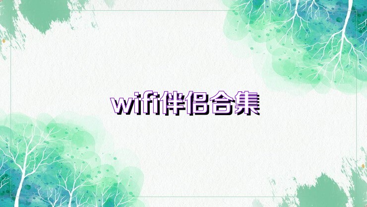 wifi伴侣合集