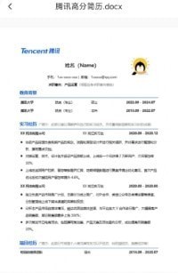 word文档助手1