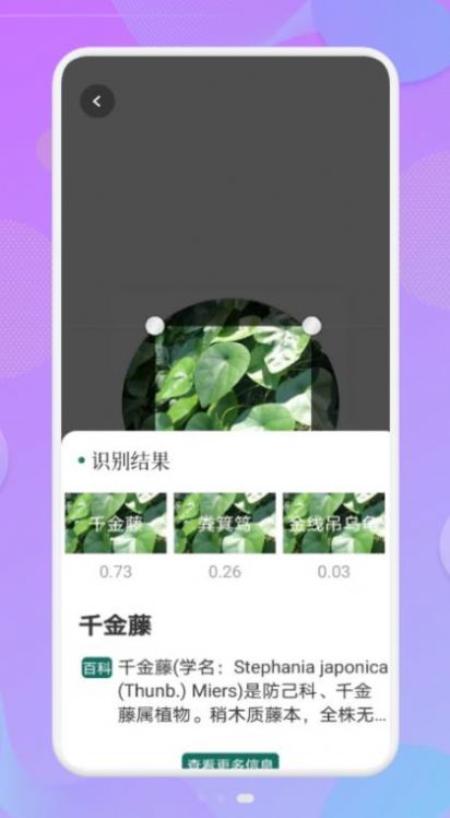 拍照识物伴侣2
