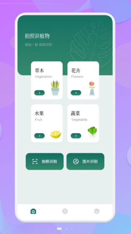 拍照识物伴侣3