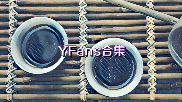 YFans合集