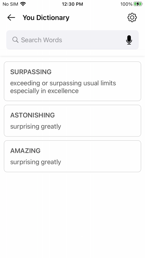 YouDictionary2