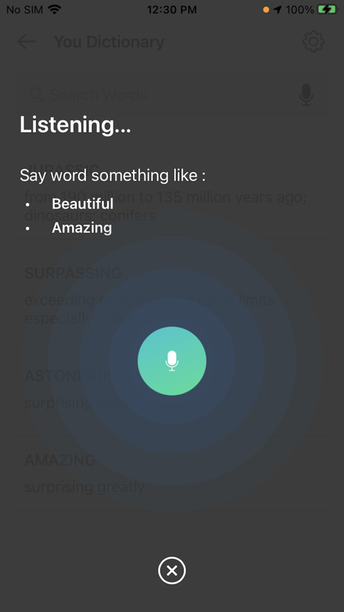 YouDictionary4
