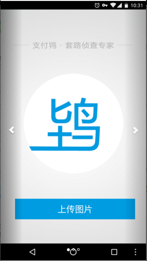 支付鸨1