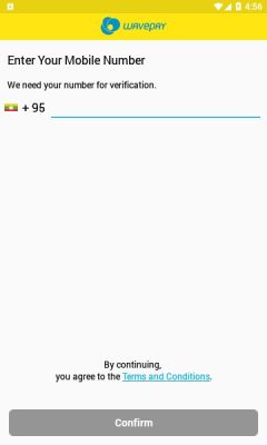 wavepay免费版3