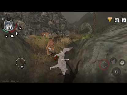 wolf online 22