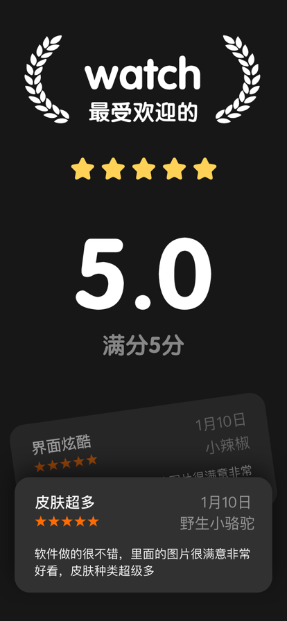 琦琦表盘苹果版1