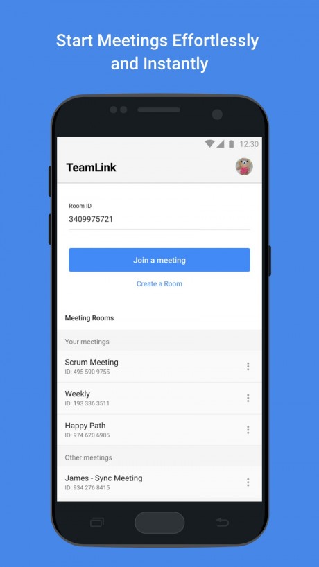 TeamLink4