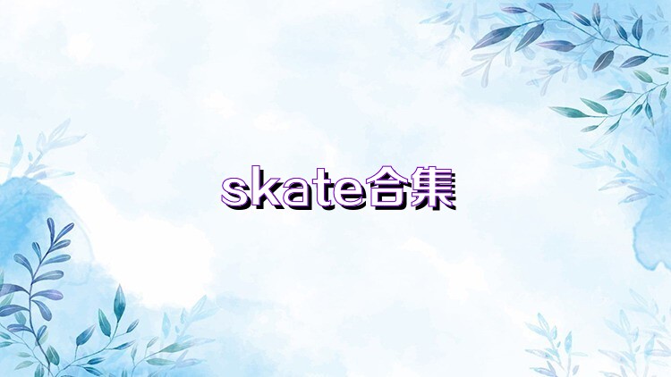 skate合集