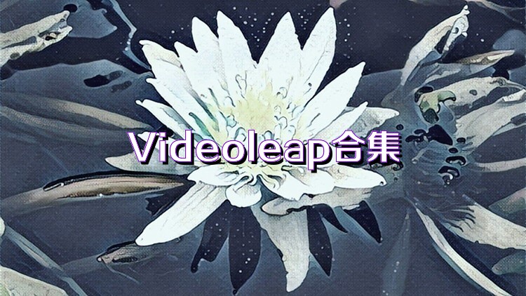 Videoleap合集