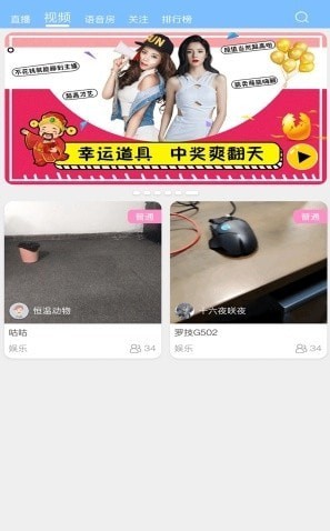 三鸽流水1
