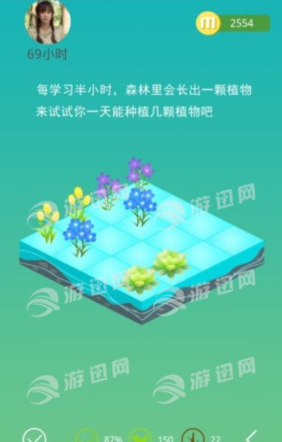 七色堇3