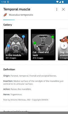vet Anatomy安卓版v3.1.01