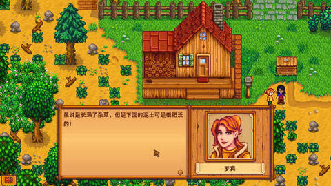 星露谷物语汉化版2