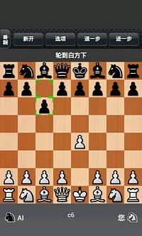 国际象棋下载4