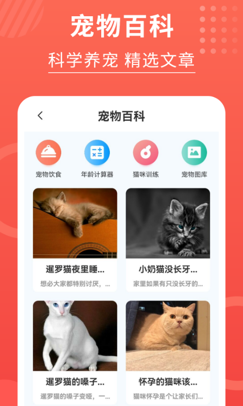 喵星人翻译器3