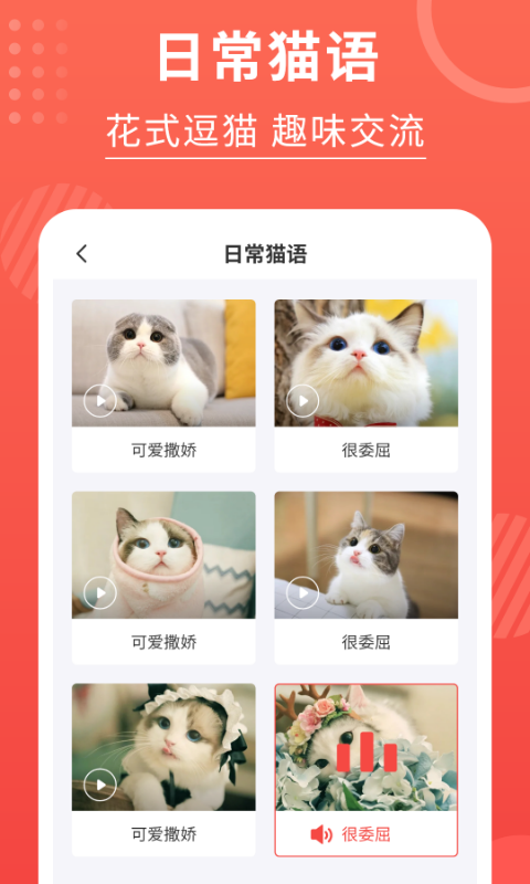 喵星人翻译器4