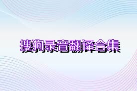 搜狗录音翻译合集