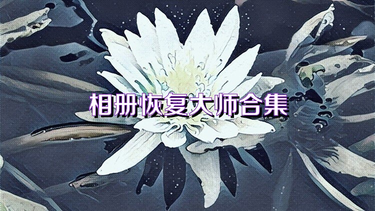 相册恢复大师合集