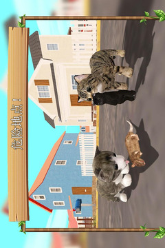 在线模拟猫安卓版5
