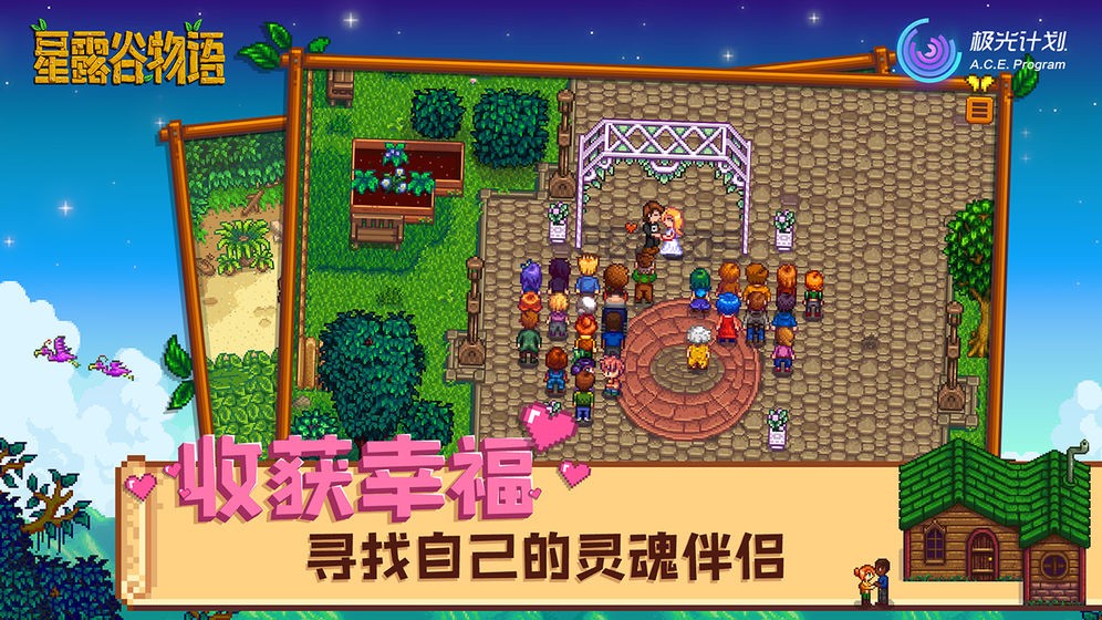 星露谷物语全镇可娶mod3