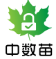 中数苗