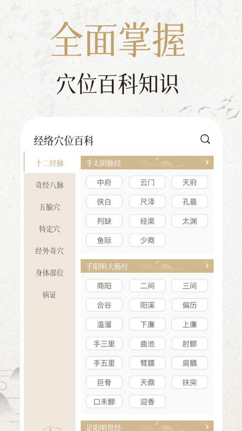 中济经络穴位1