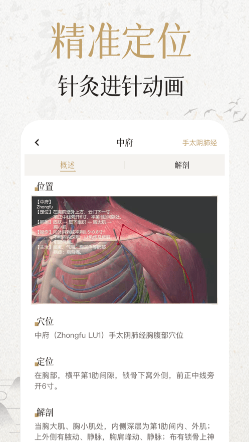 中济经络穴位3