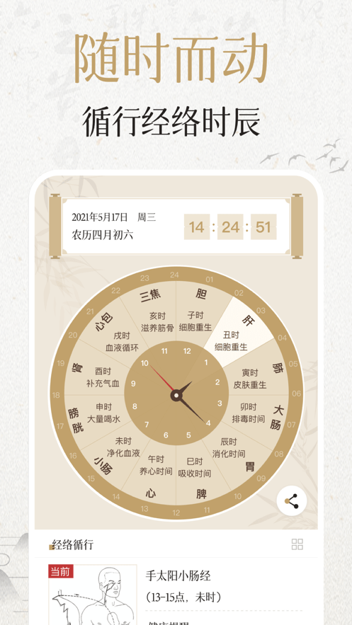 中济经络穴位4