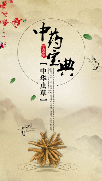 中药宝典4