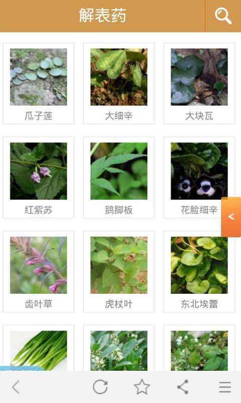 中药大全3