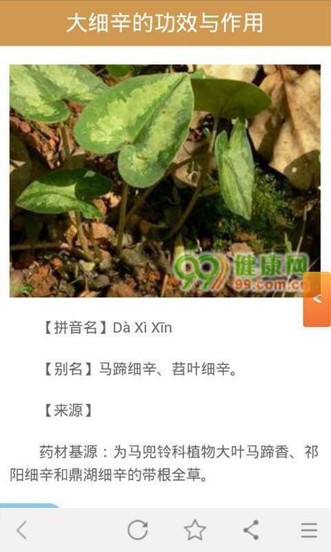 中药大全4