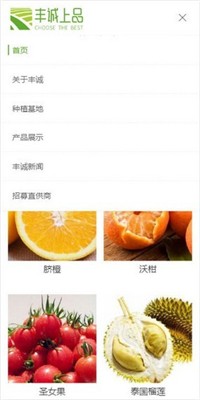丰诚上品2