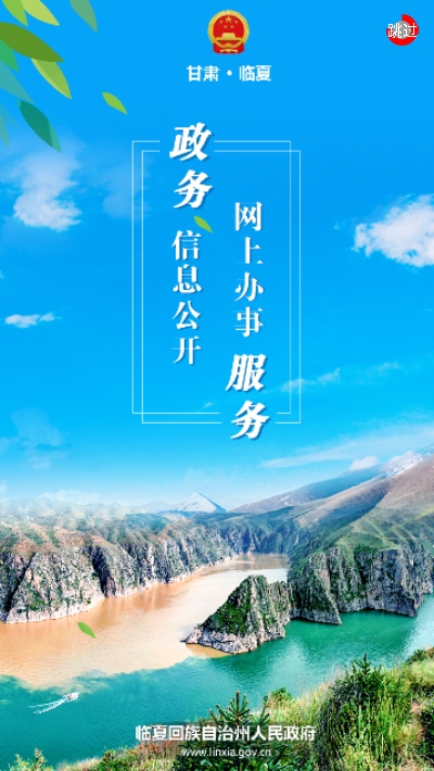 临夏政务3