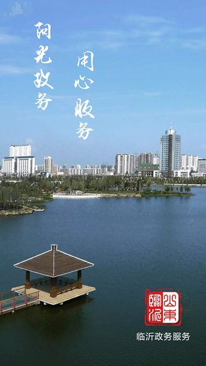 临沂政务服务1