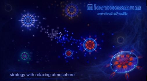 Microcosmum1