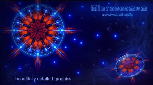 Microcosmum2