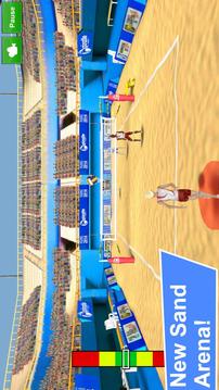 Volleyball Champions 3D 20141