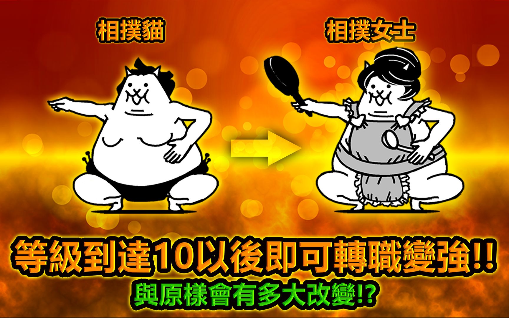 猫咪大战争10.9.03