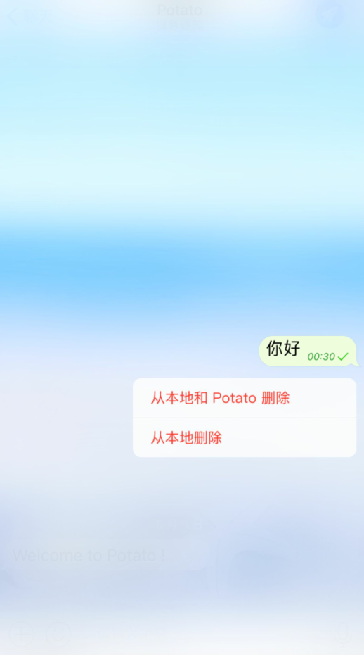 土豆聊天potato4