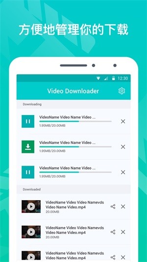 VideoDownloader4