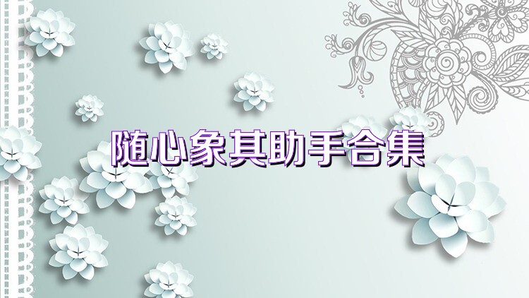 随心象棋助手合集