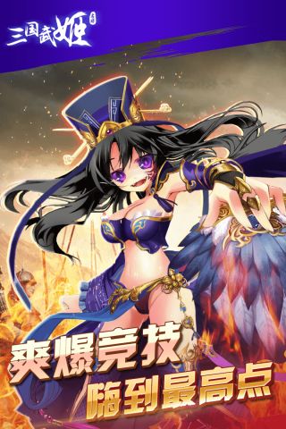 三国武姬2