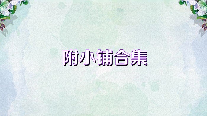 附小铺合集