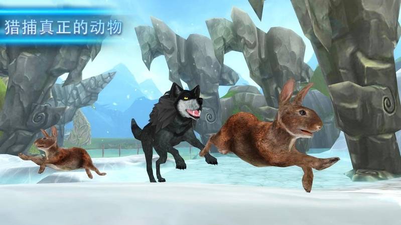 狼之进化3