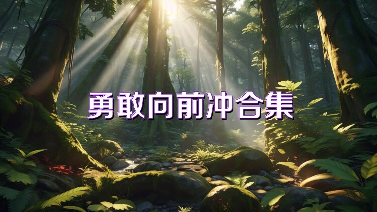 勇敢向前冲合集