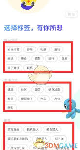VMOS新手使用指南：详细教程教你如何使用VMOS