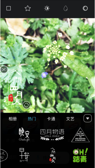 图钉2