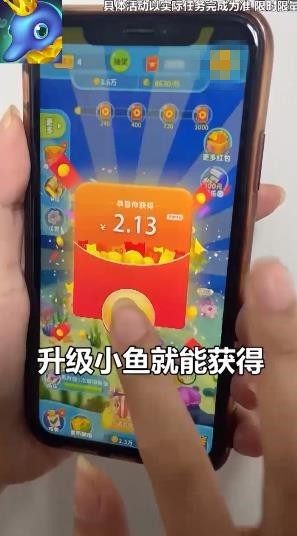 狂牛工作室养鱼天天赚3